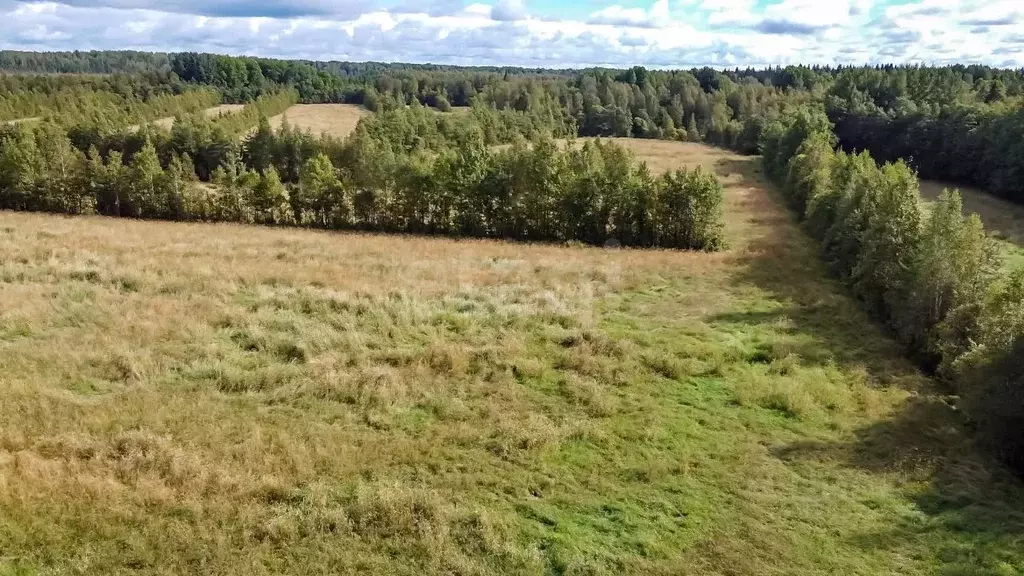 Участок в Ленинградская область, Выборгский район, Советское городское ... - Фото 2