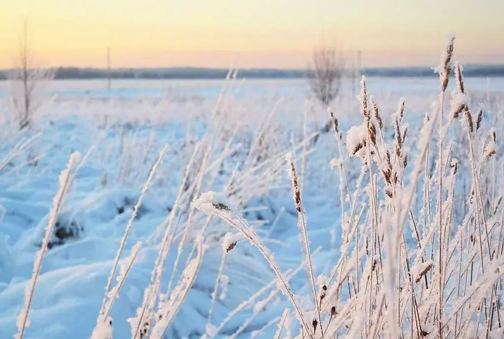 Участок в Свердловская область, Каменский городской округ, с. ... - Фото 1