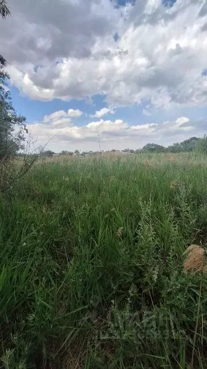 Участок в Крым, Феодосия пер. Казацкий (9.7 сот.) - Фото 2