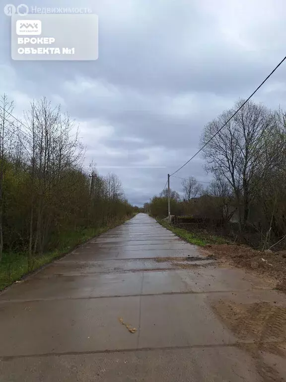 Участок в деревня Новое Калище, Береговая улица (36 м) - Фото 1