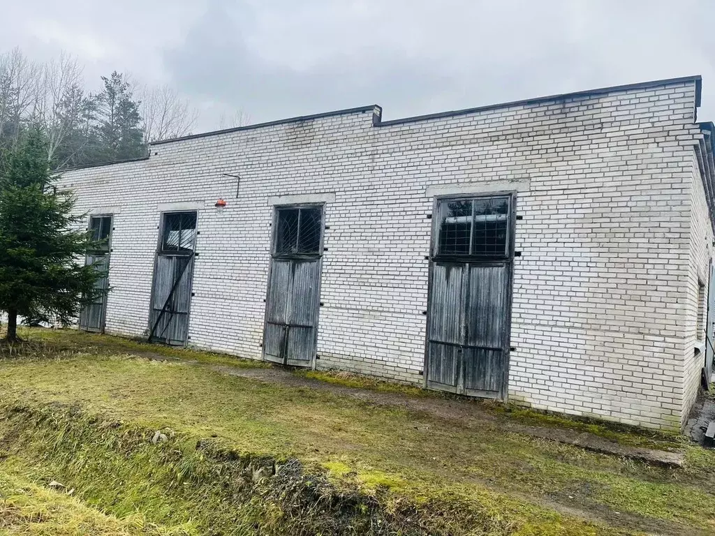 Склад в Ленинградская область, Ломоносовский район, Пениковское с/пос ... - Фото 1