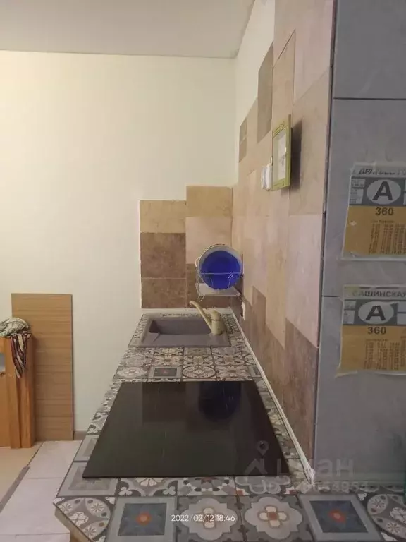 Студия Ленинградская область, Ломоносовский район, д. Низино ул. ... - Фото 1