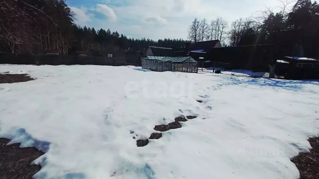 Участок в Брянская область, Брянский район, Свенское с/пос, пос. ... - Фото 2