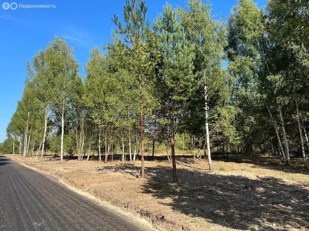 Участок в Московская область, городской округ Подольск, КП Пузиково, ... - Фото 2