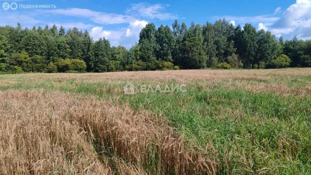 участок в муниципальное образование пушкиногорье, деревня . - Фото 1