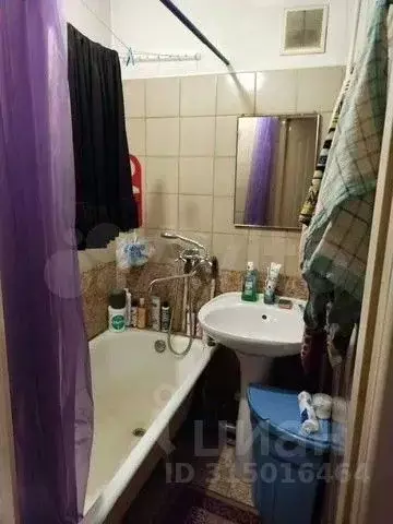 Студия Хакасия, Абакан ул. Щетинкина, 23 (30.5 м) - Фото 0