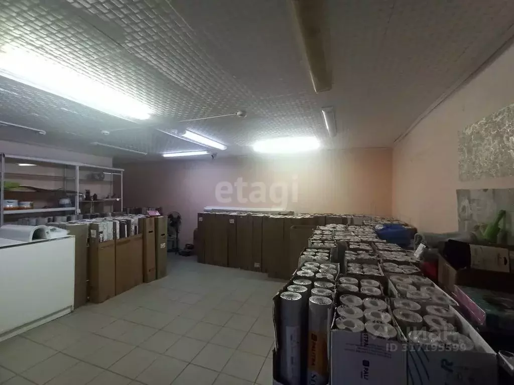 Торговая площадь в Челябинская область, Еманжелинский муниципальный ... - Фото 0