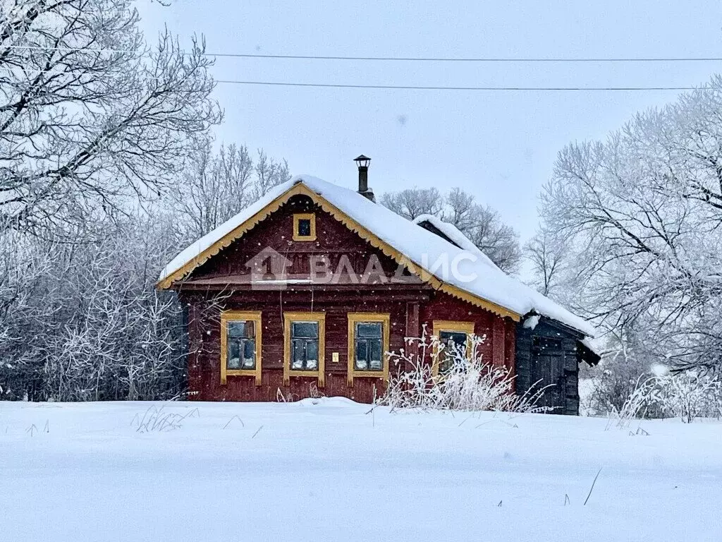 Дом в Осановецкое сельское поселение, село Владычино, 41 (50 м) - Фото 0