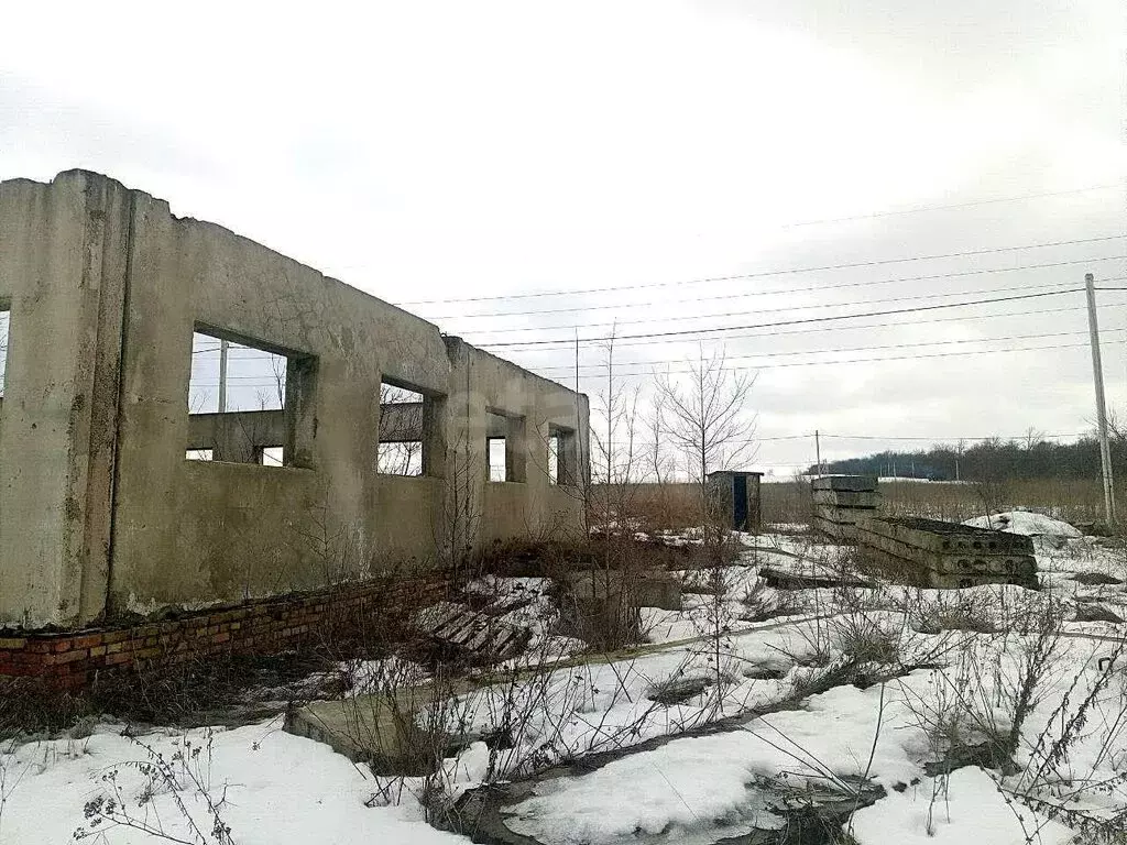 Участок в Новый Оскол, Абрикосовая улица (15 м) - Фото 2