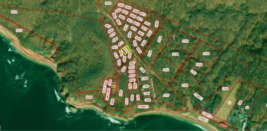 Участок в Приморский край, Партизанский муниципальный округ  (5.0 ... - Фото 2