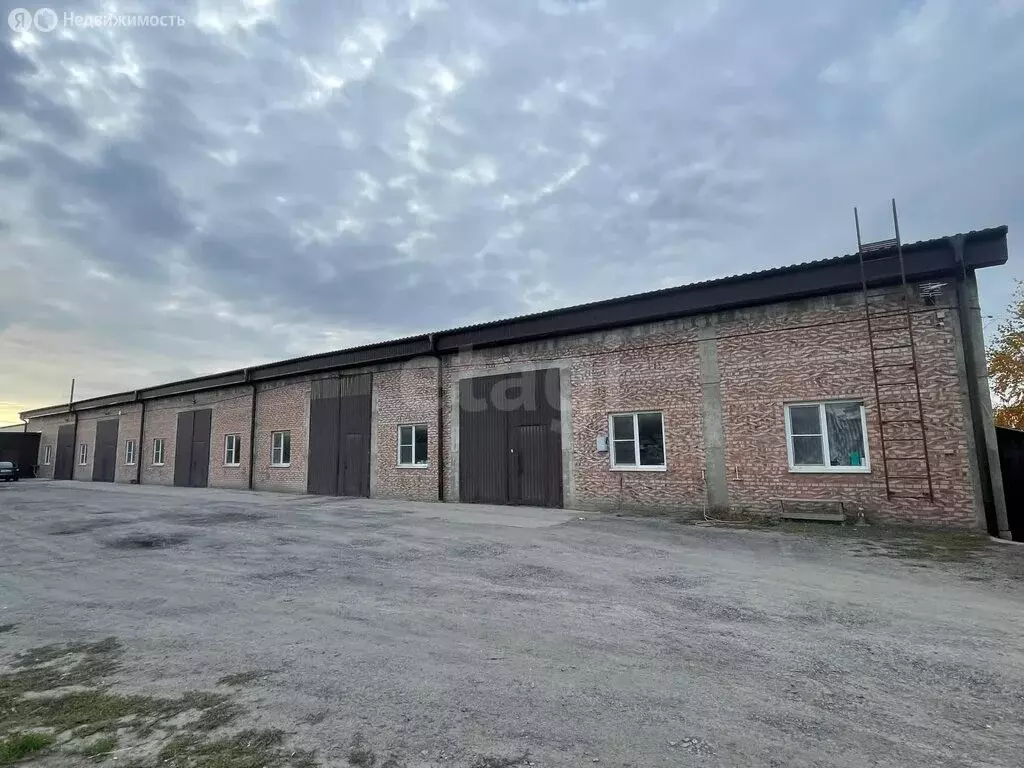 Помещение свободного назначения (250 м) - Фото 1