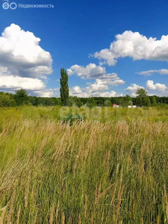 Участок в Новая Усмань, Октябрьский переулок (9 м) - Фото 1