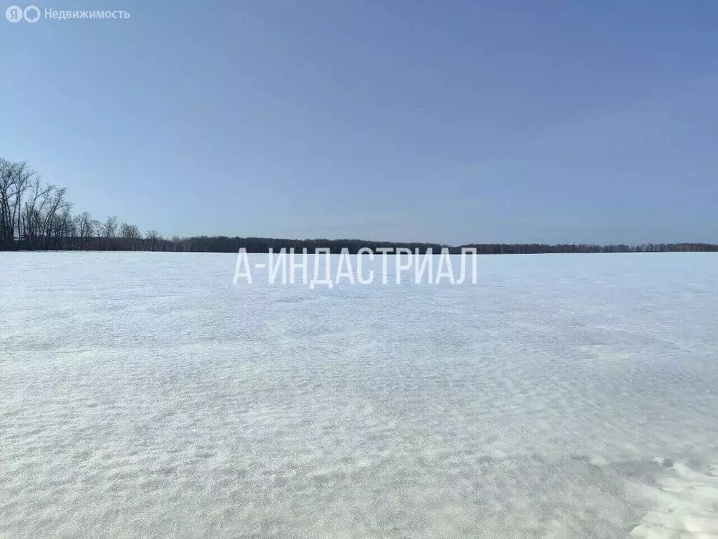 Участок в Московская область, Домодедово, микрорайон Белые Столбы (35 ... - Фото 2