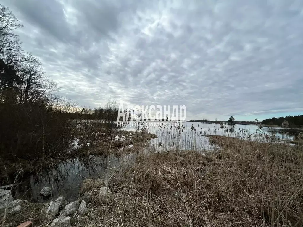 Дом в Ленинградская область, Приозерск ул. Дачная, 15 (49 м) - Фото 2