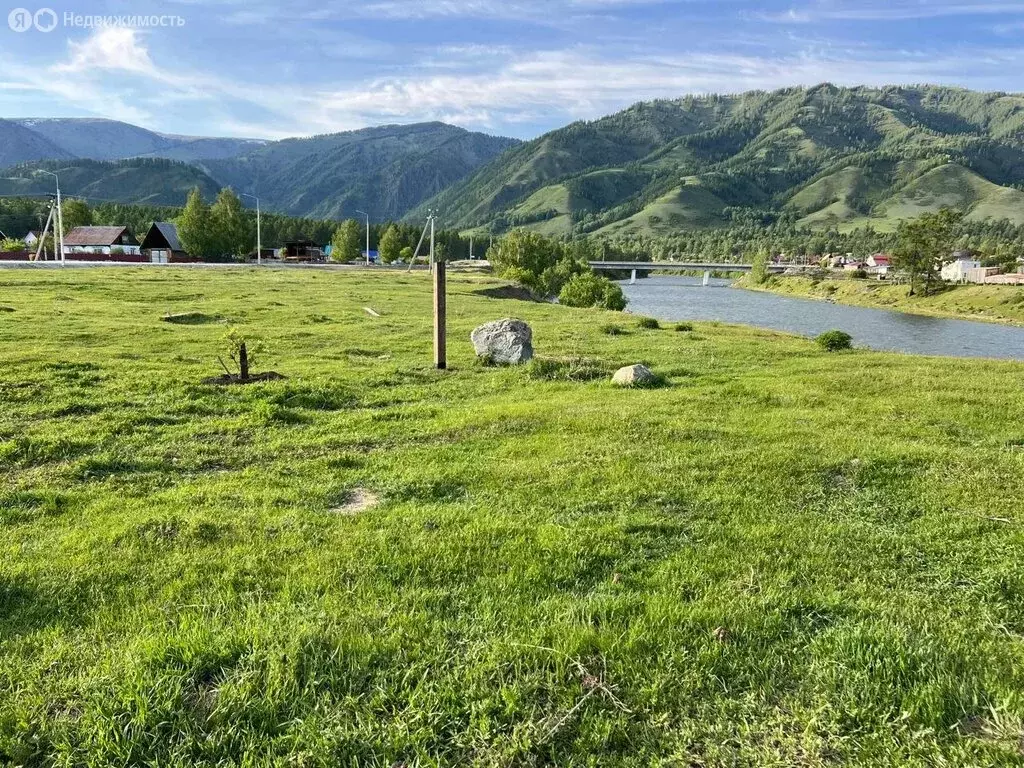 Участок в Усть-Коксинский район, село Усть-Кокса (12 м) - Фото 1