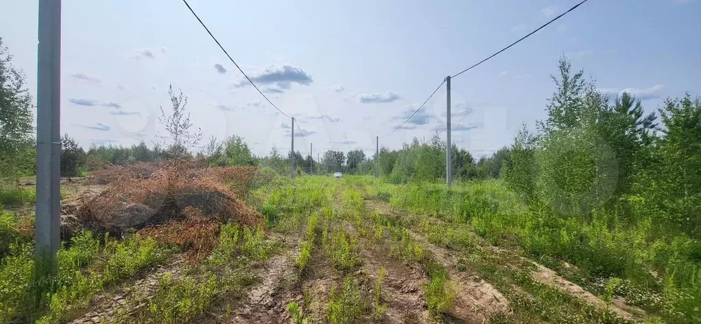 Участок 11 сот. (ИЖС) - Фото 1
