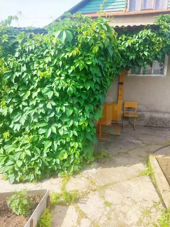 Дача 45 м на участке 10 сот. - Фото 1