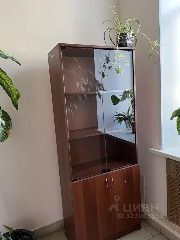 Помещение свободного назначения в Пензенская область, Нижний Ломов ул. ... - Фото 2