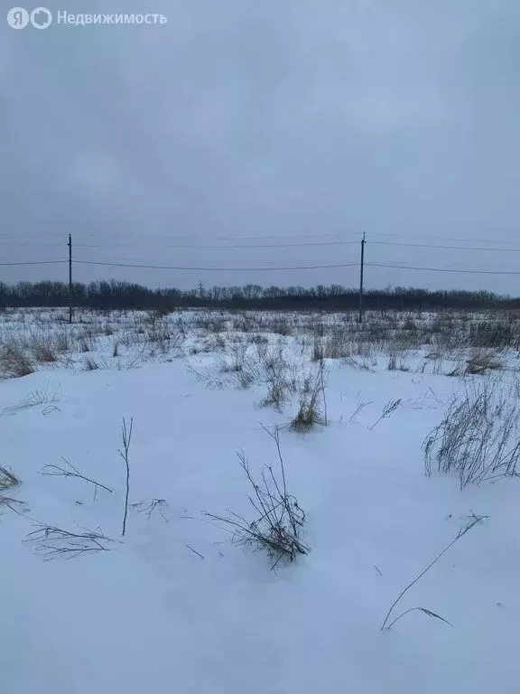 Участок в село Новогремяченское, Невская улица (10 м) - Фото 1