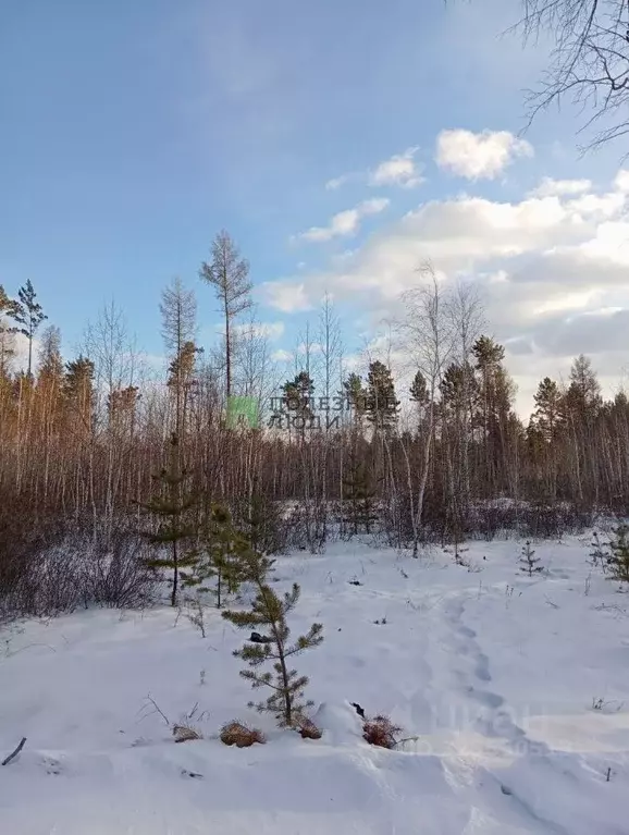 Участок в Забайкальский край, Читинский район, Атамановское городское ... - Фото 1