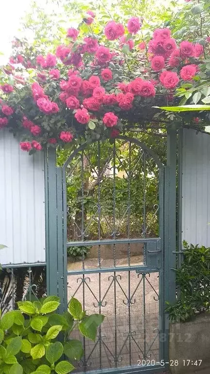 Дом в Краснодарский край, Туапсе ул. Володарского, 4 (30 м) - Фото 2