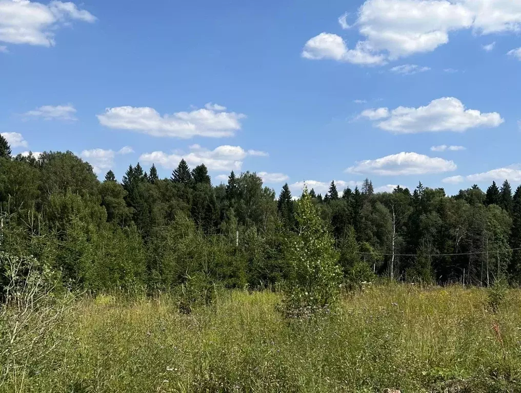 Участок, 6 сот., сельхоз (снт или днп) - Фото 1