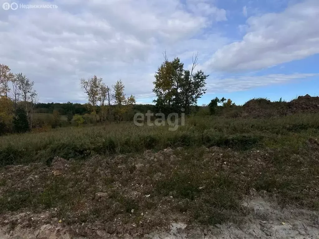 Участок в Амурская область, городской округ Благовещенск, посёлок ... - Фото 0