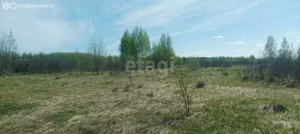 Участок в Кочкуровский район, село Булгаково (10.48 м) - Фото 1