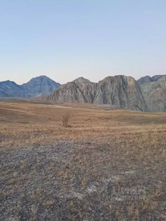 Участок в Алтай, Онгудайский район, с. Инегень Центральная ул., 15 ... - Фото 1