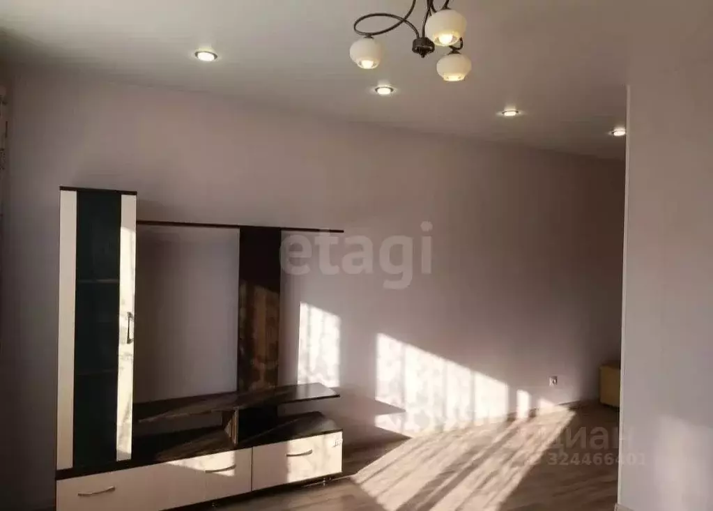 Студия Амурская область, Благовещенский район, с. Чигири Восточная ... - Фото 2