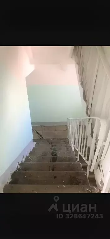 1-к кв. Ленинградская область, Сосновый Бор просп. Героев, 59 (28.0 м) - Фото 2