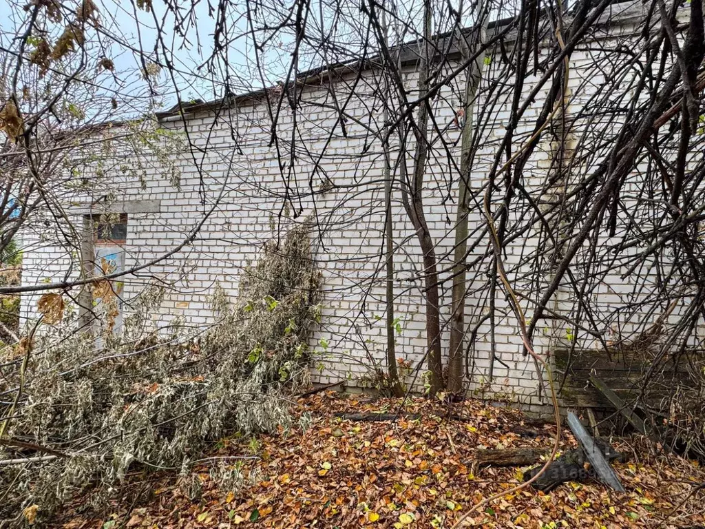 Офис в Нижегородская область, Большое Мурашкино рп пер. Кузнечный, 7 ... - Фото 1