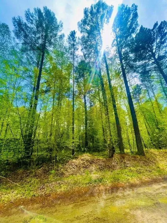 Участок в Иркутская область, Иркутск  (15.0 сот.) - Фото 1