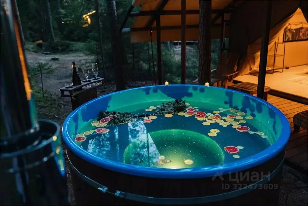 Дом в Ленинградская область, Выборгский район, Первомайское с/пос, ... - Фото 2