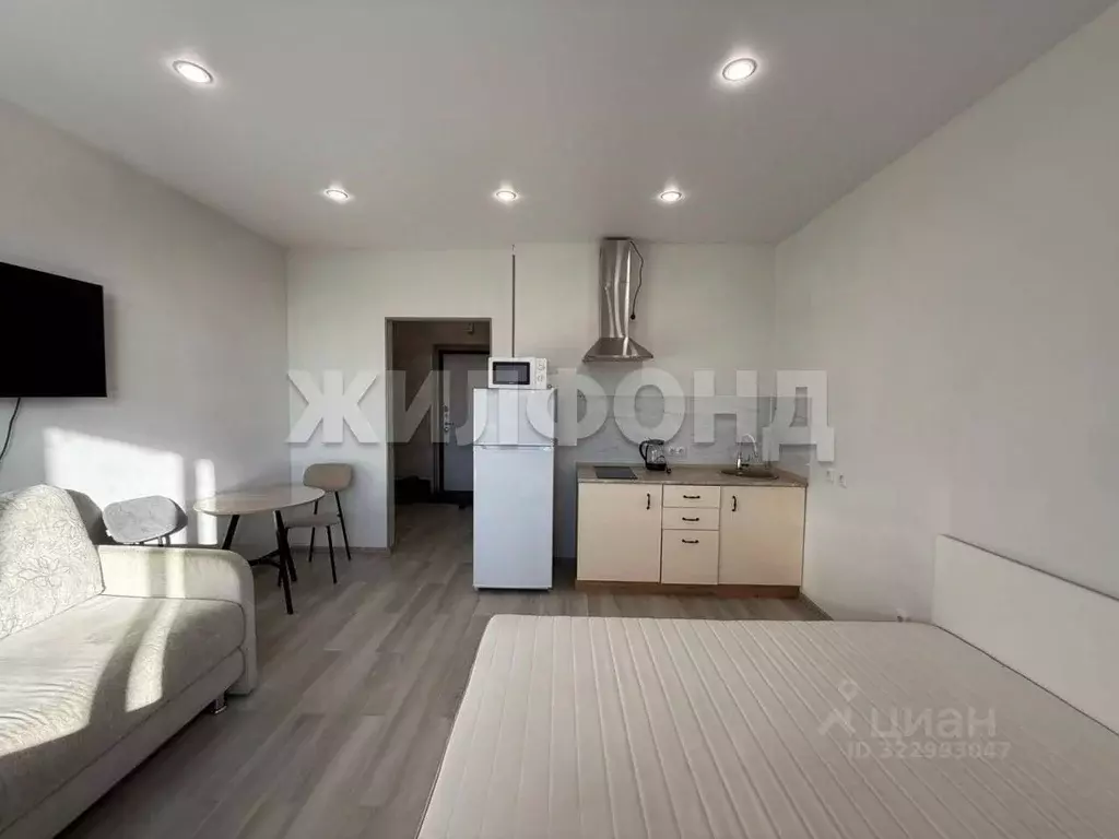 1-к кв. Новосибирская область, Новосибирск 2-я Воинская ул., 53 (24.7 ... - Фото 1