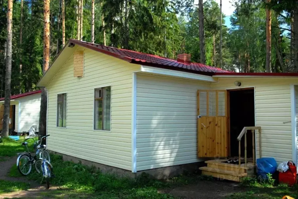 Дом в Псковская область, Гдов  (20 м) - Фото 2