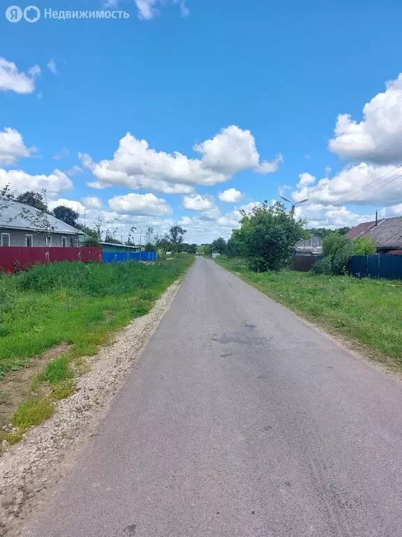 Дом в Борищево, село Борищево (66 м) - Фото 0