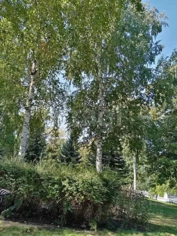 2-к кв. Самарская область, Самара Владимирская ул., 37 (45.0 м) - Фото 2