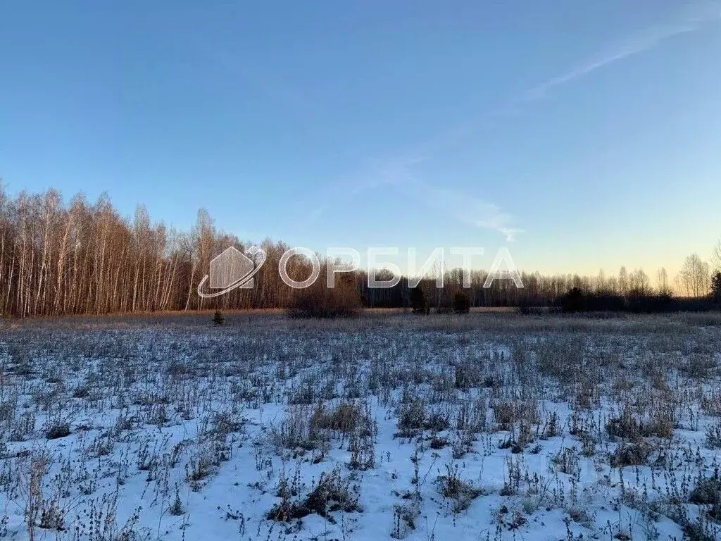 Участок в Тюменская область, Тюменский муниципальный округ, д. Елань ... - Фото 2
