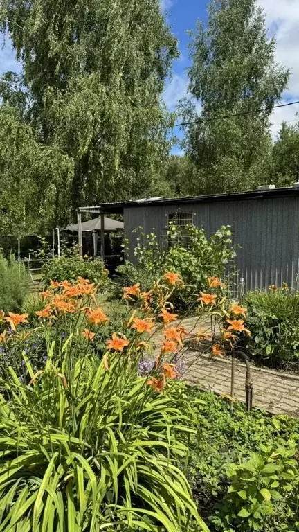 Участок в Московская область, Щелково городской округ, Эколог садовое ... - Фото 1