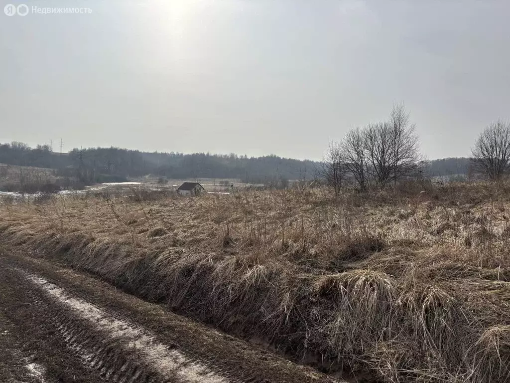 Участок в деревня Богородицкое, Рублёвская улица (14 м) - Фото 0