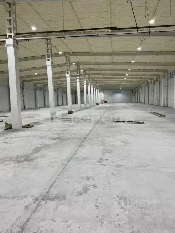 Склад в Новосибирская область, Новосибирский район, Толмачевский ... - Фото 2