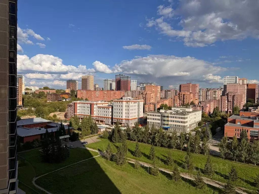 2-к кв. Новосибирская область, Новосибирск Ипподромская ул., 12 (40.0 ... - Фото 2