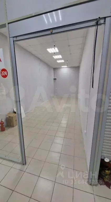 Офис в Самарская область, Самара Партизанская ул., 56А (26 м) - Фото 1