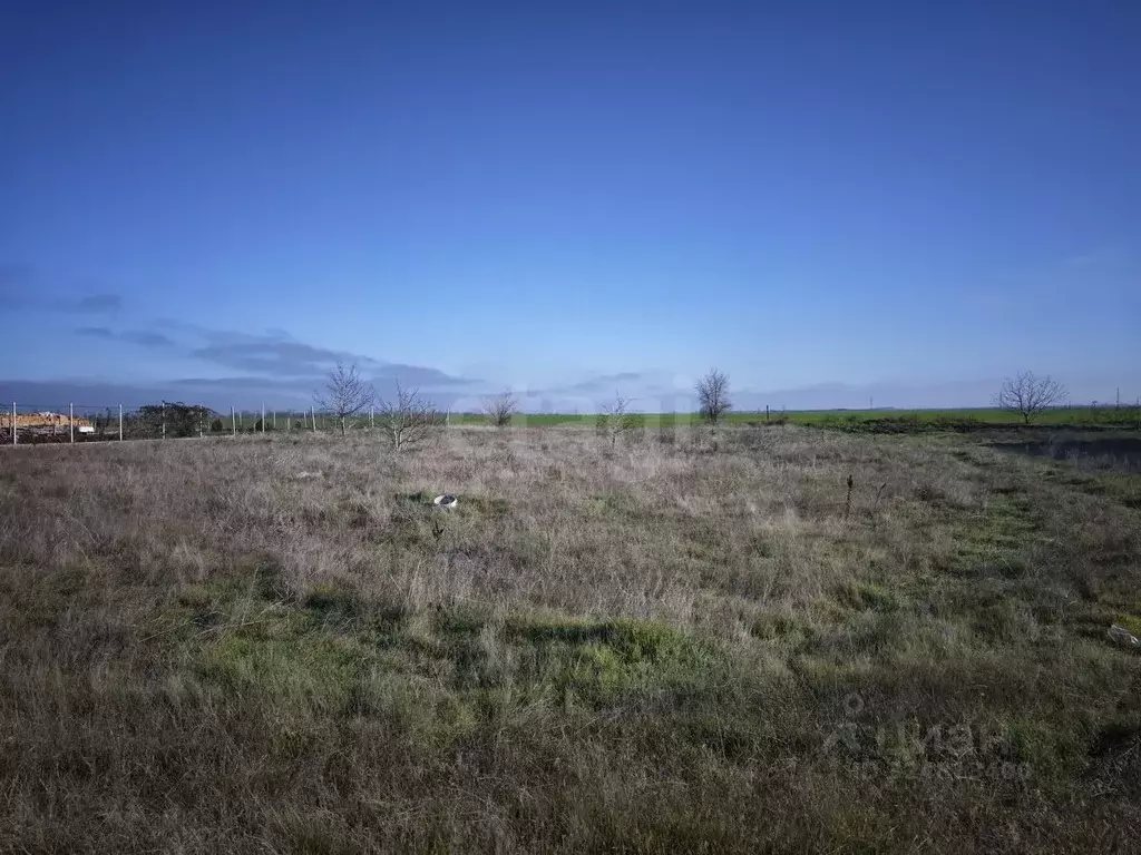 Участок в Крым, Сакский район, с. Фрунзе ул. Украинская (10.0 сот.) - Фото 2