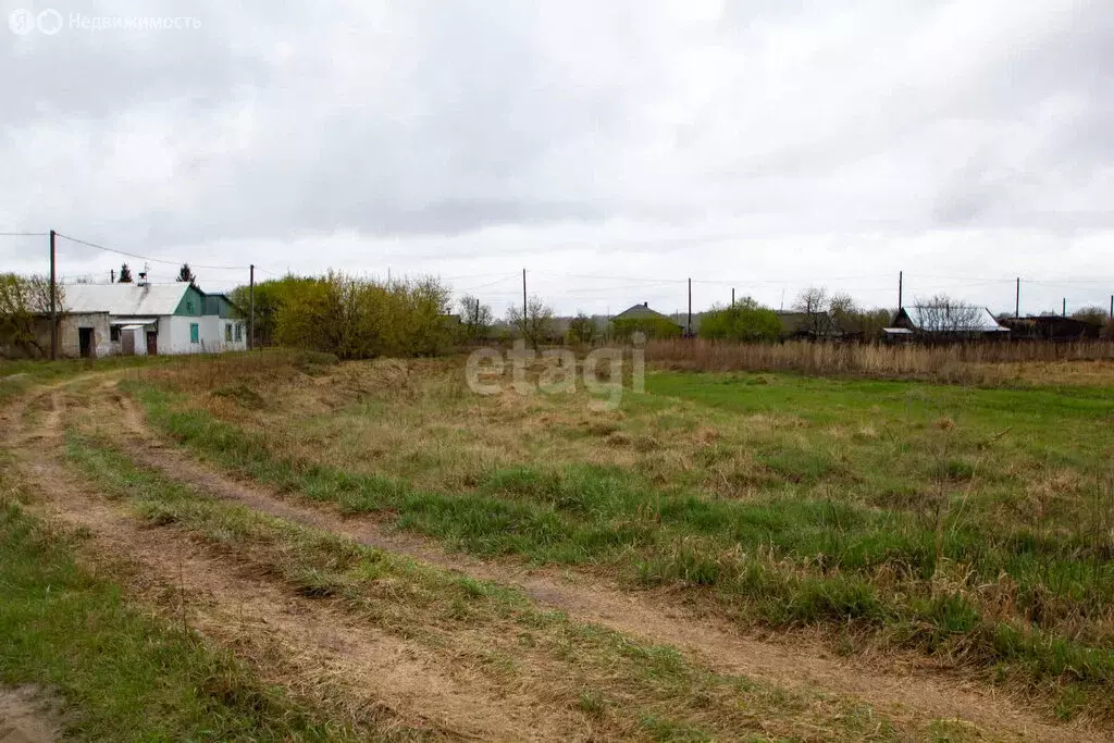 Участок в Тюменская область, Заводоуковский муниципальный округ, ... - Фото 2