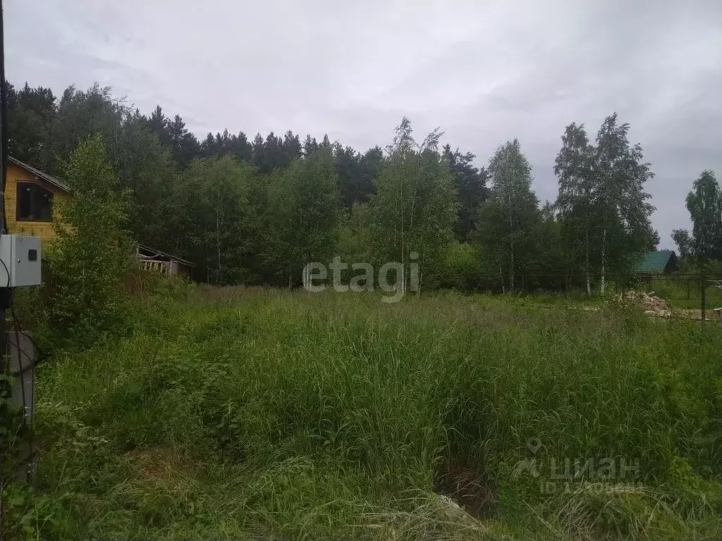 Участок в Томская область, Томский район, Лесная дача СНТ (6.3 сот.) - Фото 1