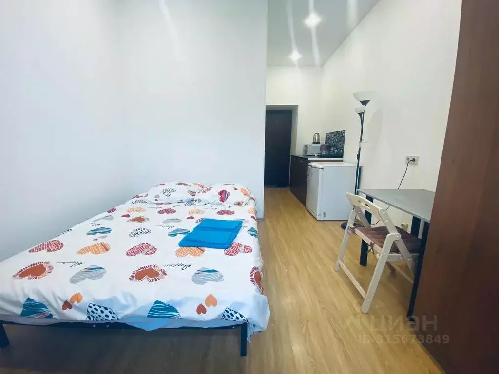 Студия Санкт-Петербург ул. Маяковского, 52 (25.0 м) - Фото 1