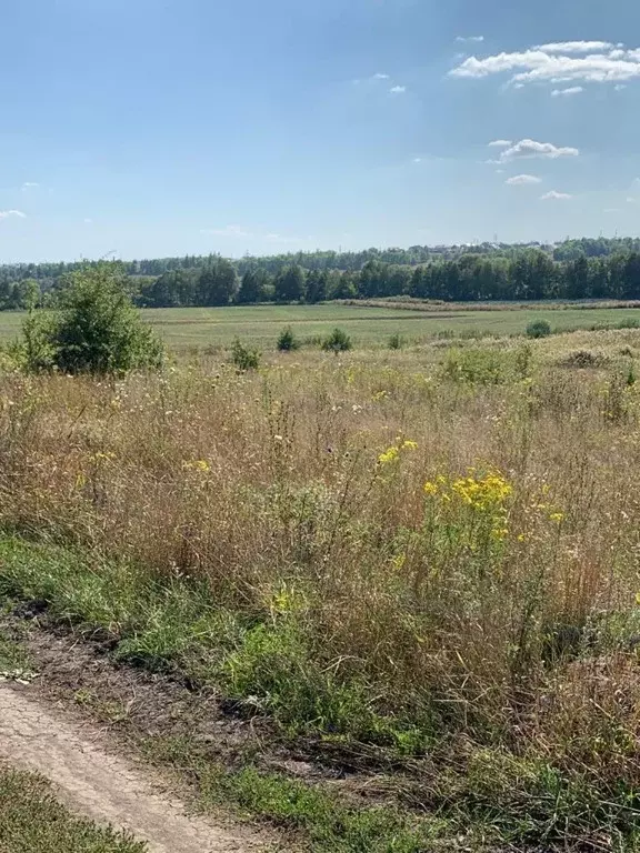 Красный Хутор Белгородская область. Красный Хутор Курская область. Красный Восток Белгородская область. Улица Центральная Хутор красный Восток.