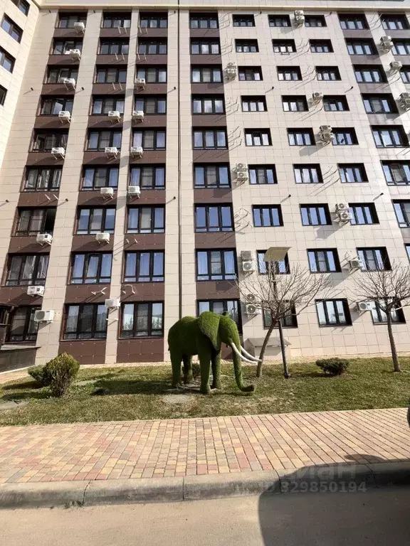 Студия Адыгея, Тахтамукайский район, Старобжегокайское с/пос, Новая ... - Фото 1